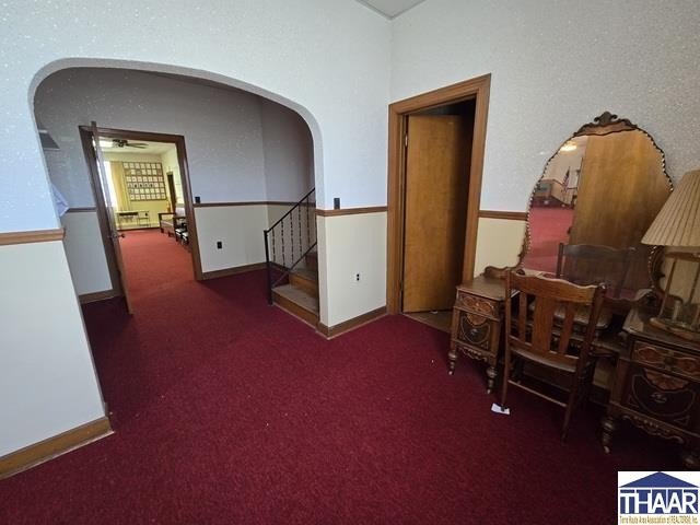 Picture 29
