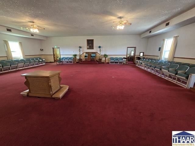 Picture 23