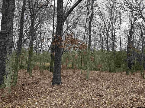 Residential Lot in Grand Saline