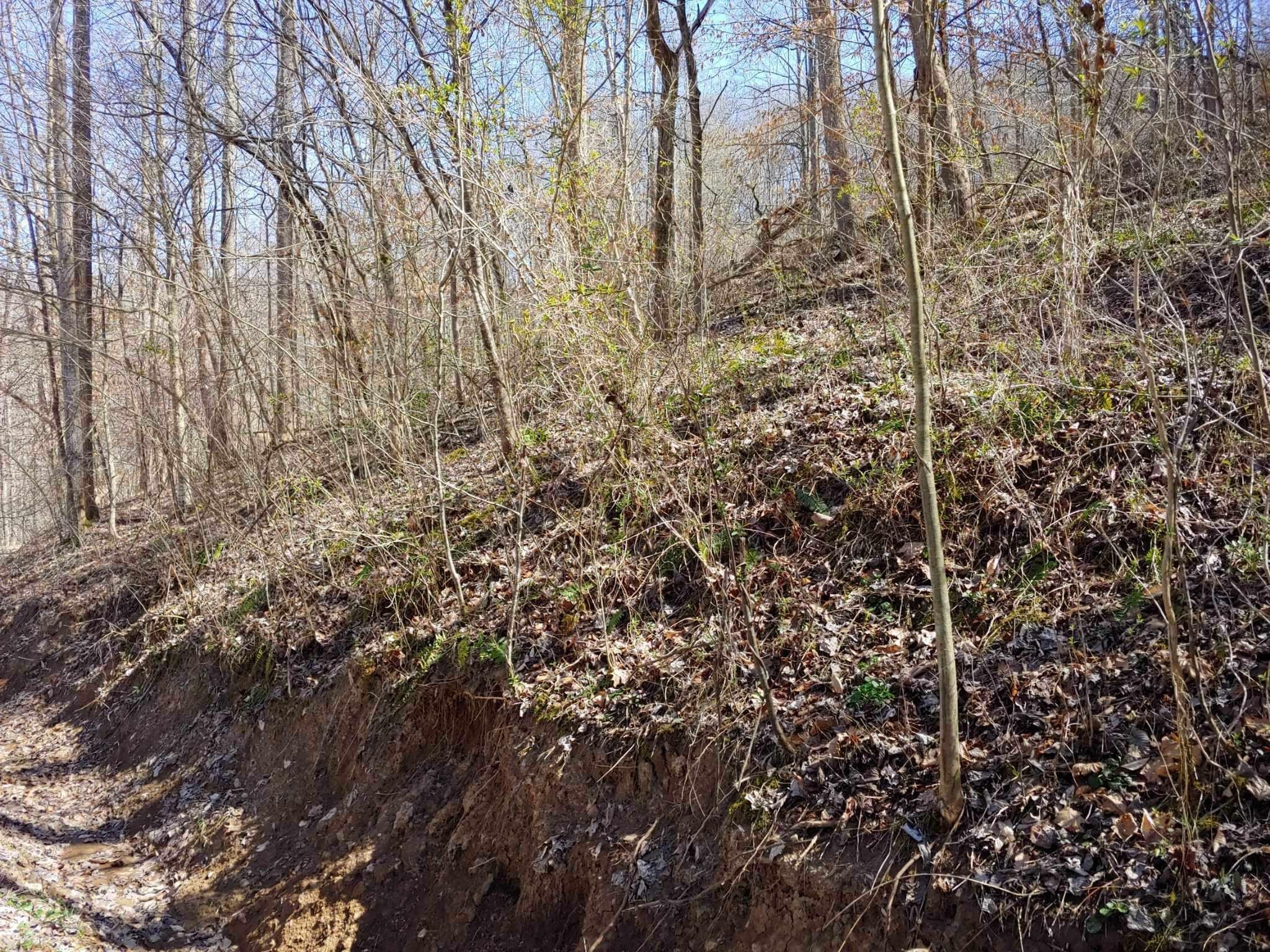Land Near Red River Gorge