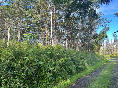 LAND - Pahoa, HI