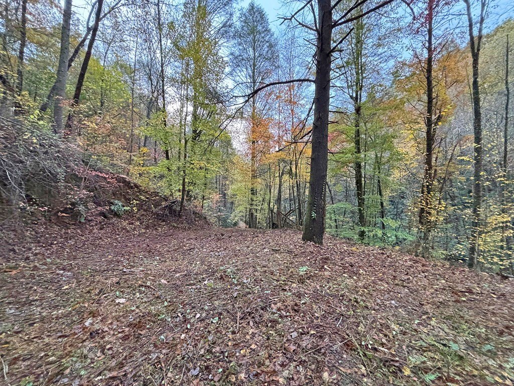 Picture 26