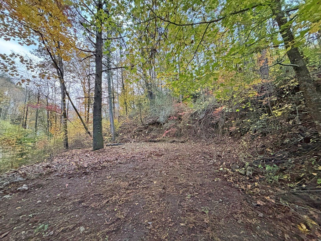 Picture 23