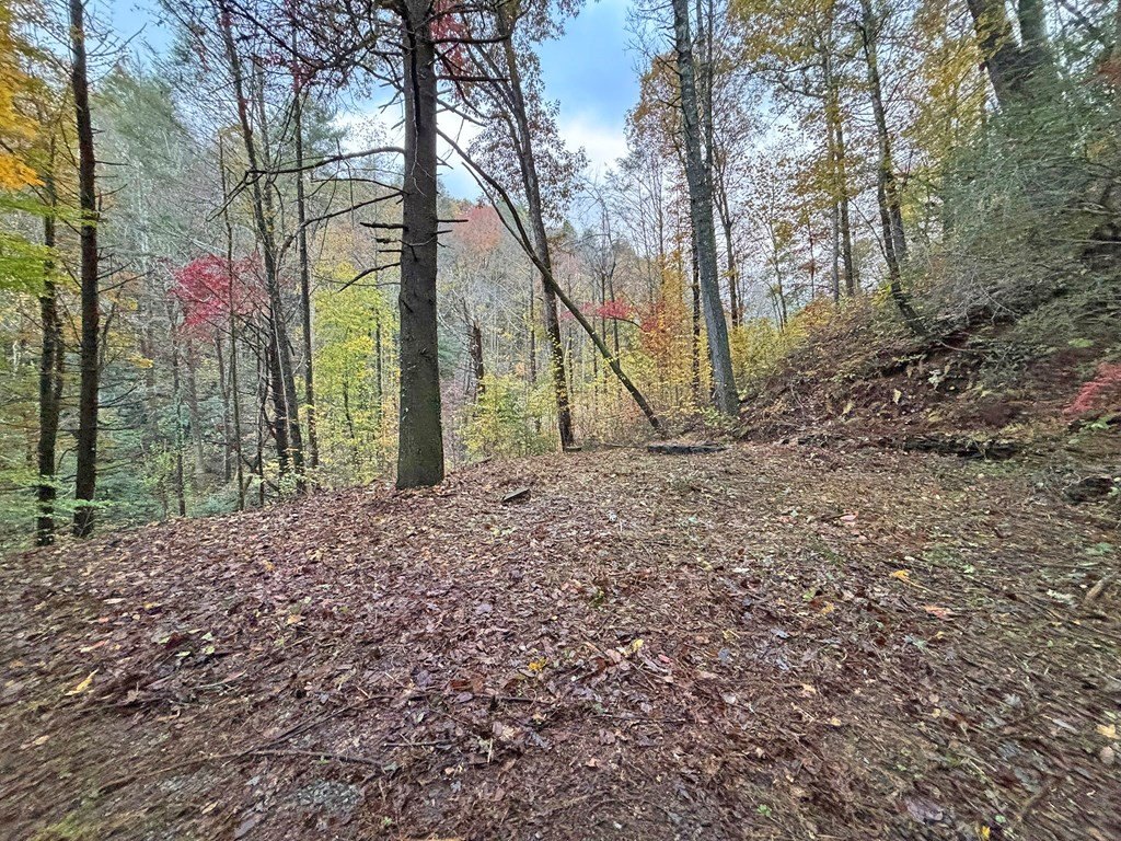 Picture 25