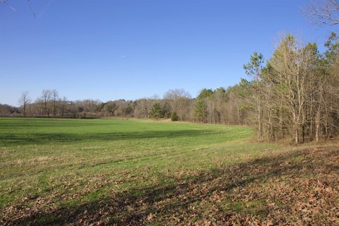 Somerville Land with Hilltop Homesite
