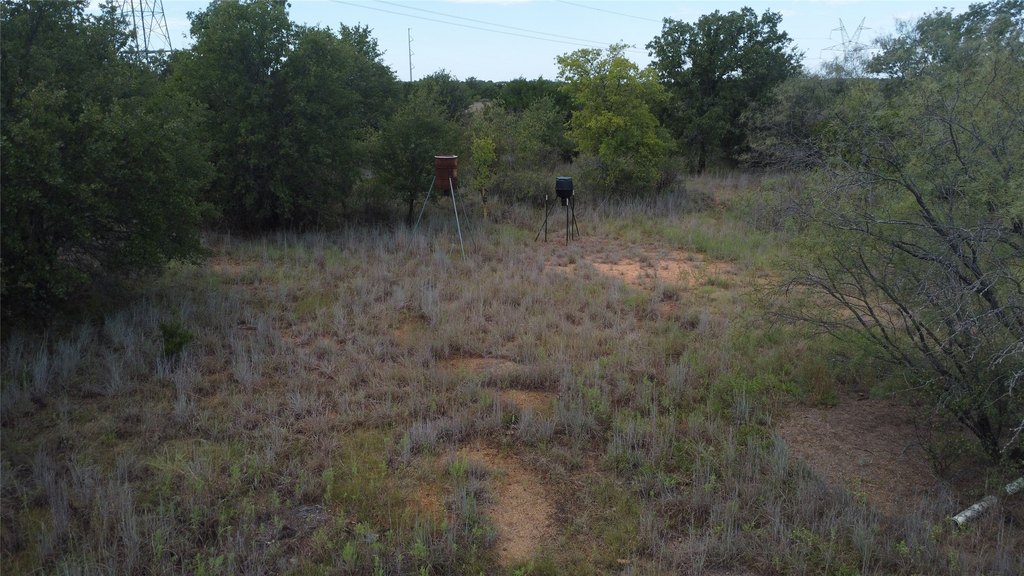 Picture 14