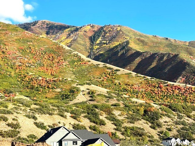 Picture 18