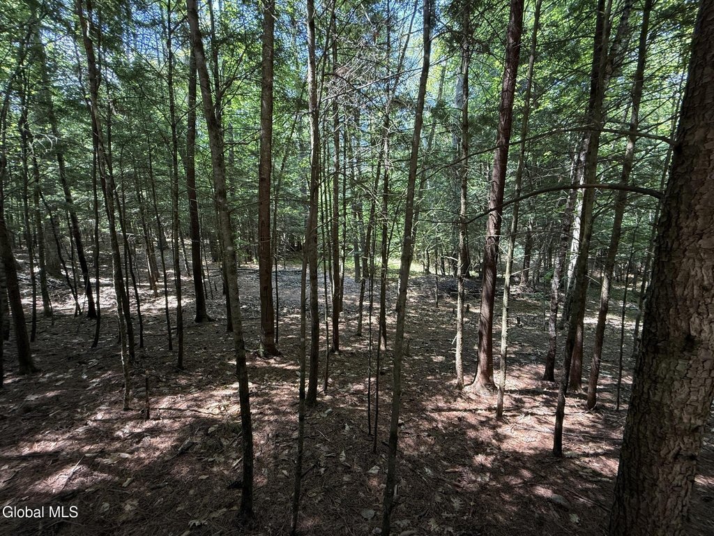 Picture 11
