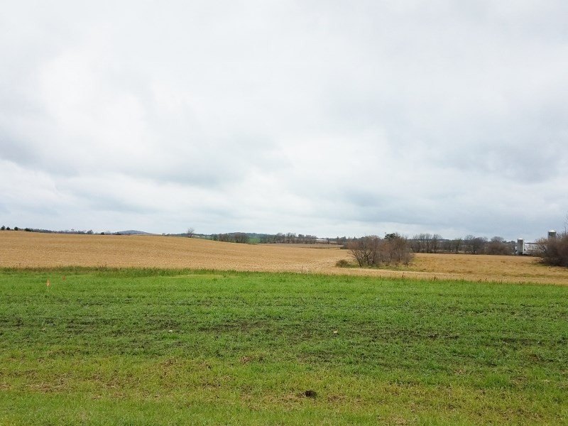 Picture 19