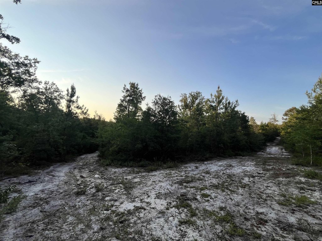 Picture 31