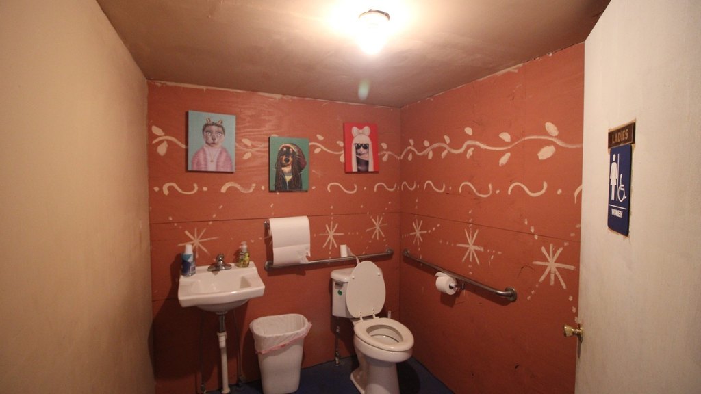 Picture 14