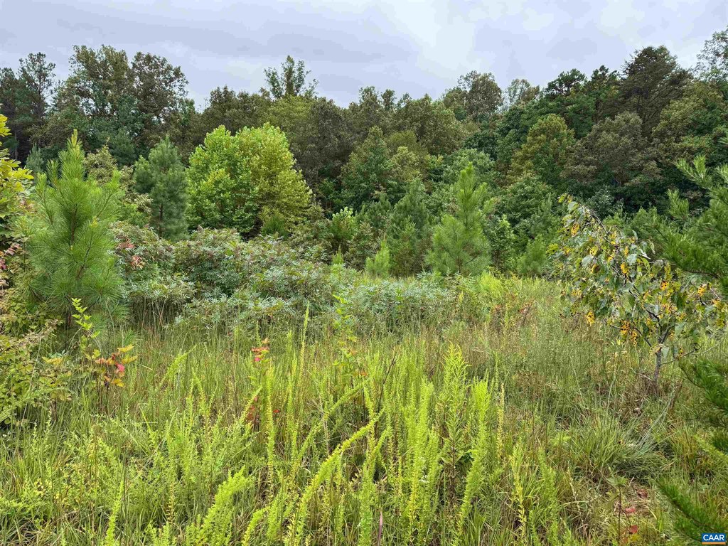 Picture 22