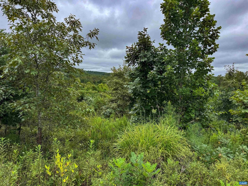 Picture 29