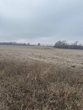 Agricultural Land Tract