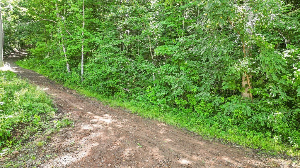 Picture 7