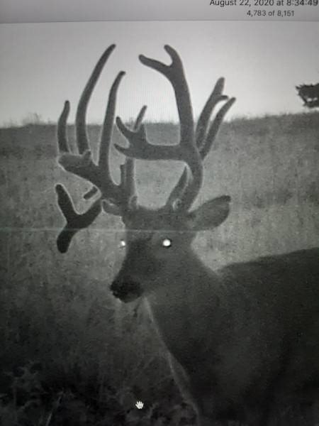 Picture 11
