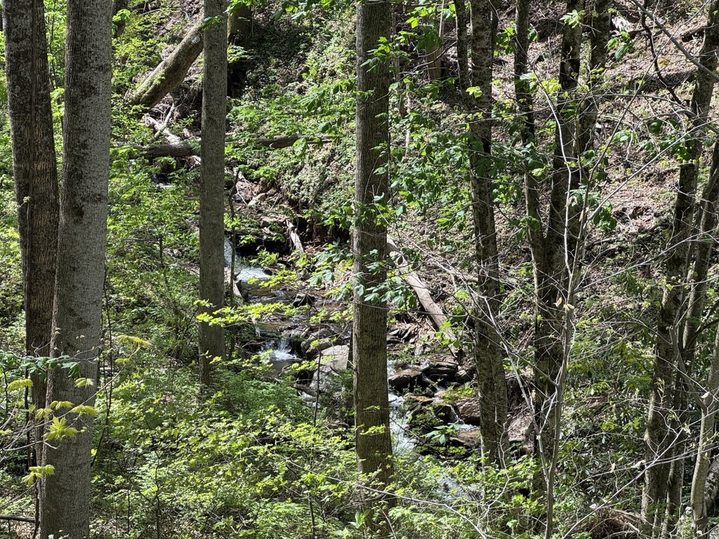 Picture 13