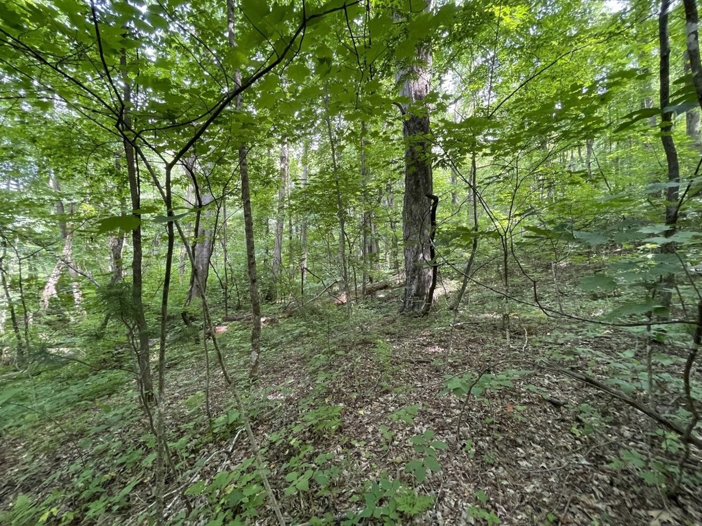 Picture 7
