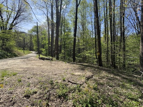 Land, Waynesville, NC