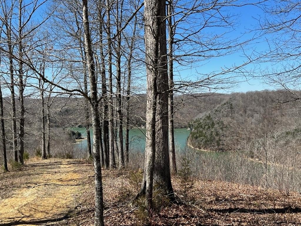Obey River Shores Land