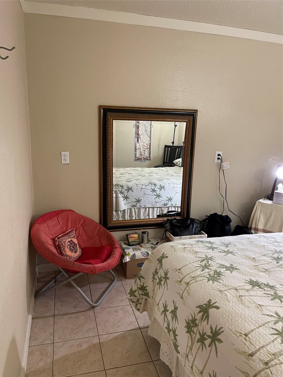 Picture 24