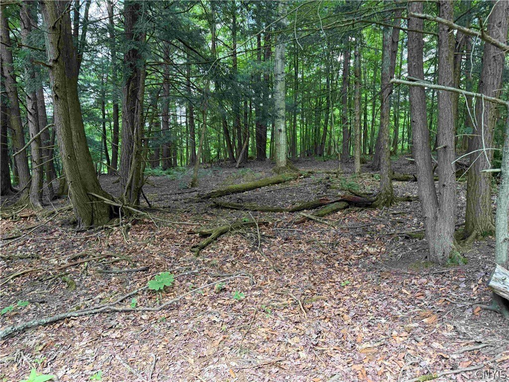 Picture 10