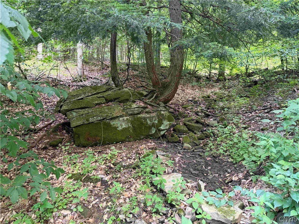 Picture 5
