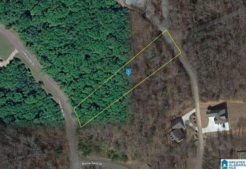 LAND/LOTS, SCOTTSBORO, AL