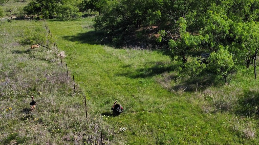 Picture 3