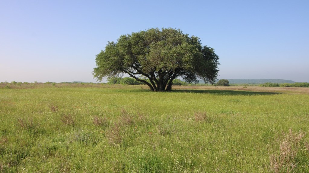 Picture 24