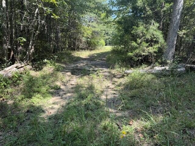 Picture 7