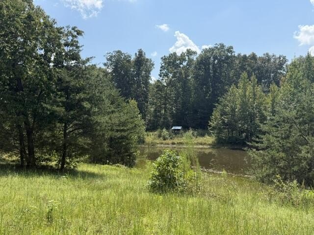 Picture 25
