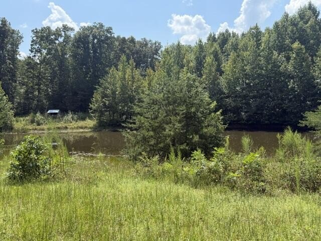 Picture 23