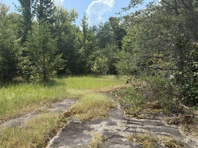 Picture 17