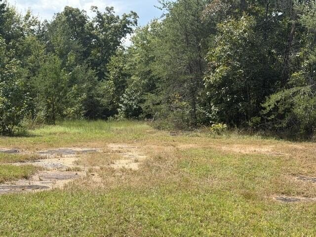 Picture 10