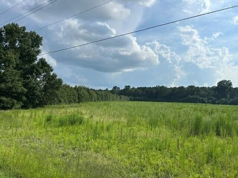 LAND - Harleyville, SC