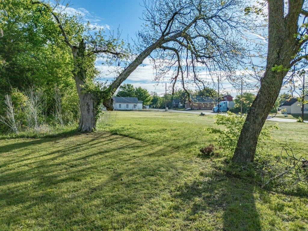 Picture 23