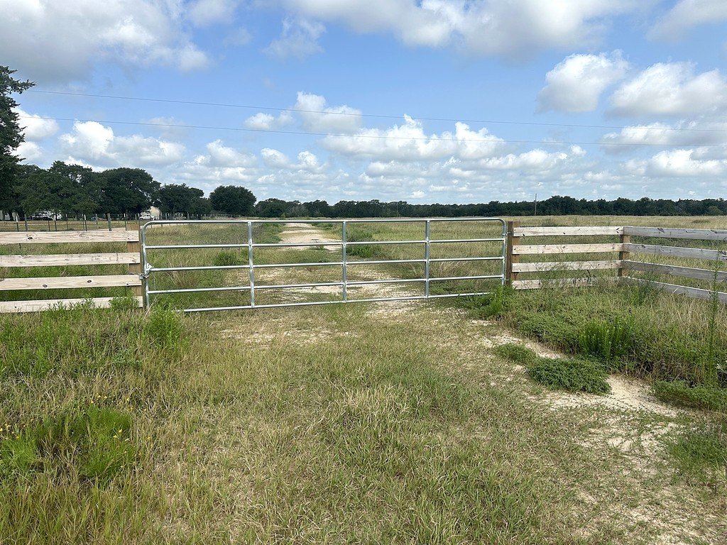 Picture 3