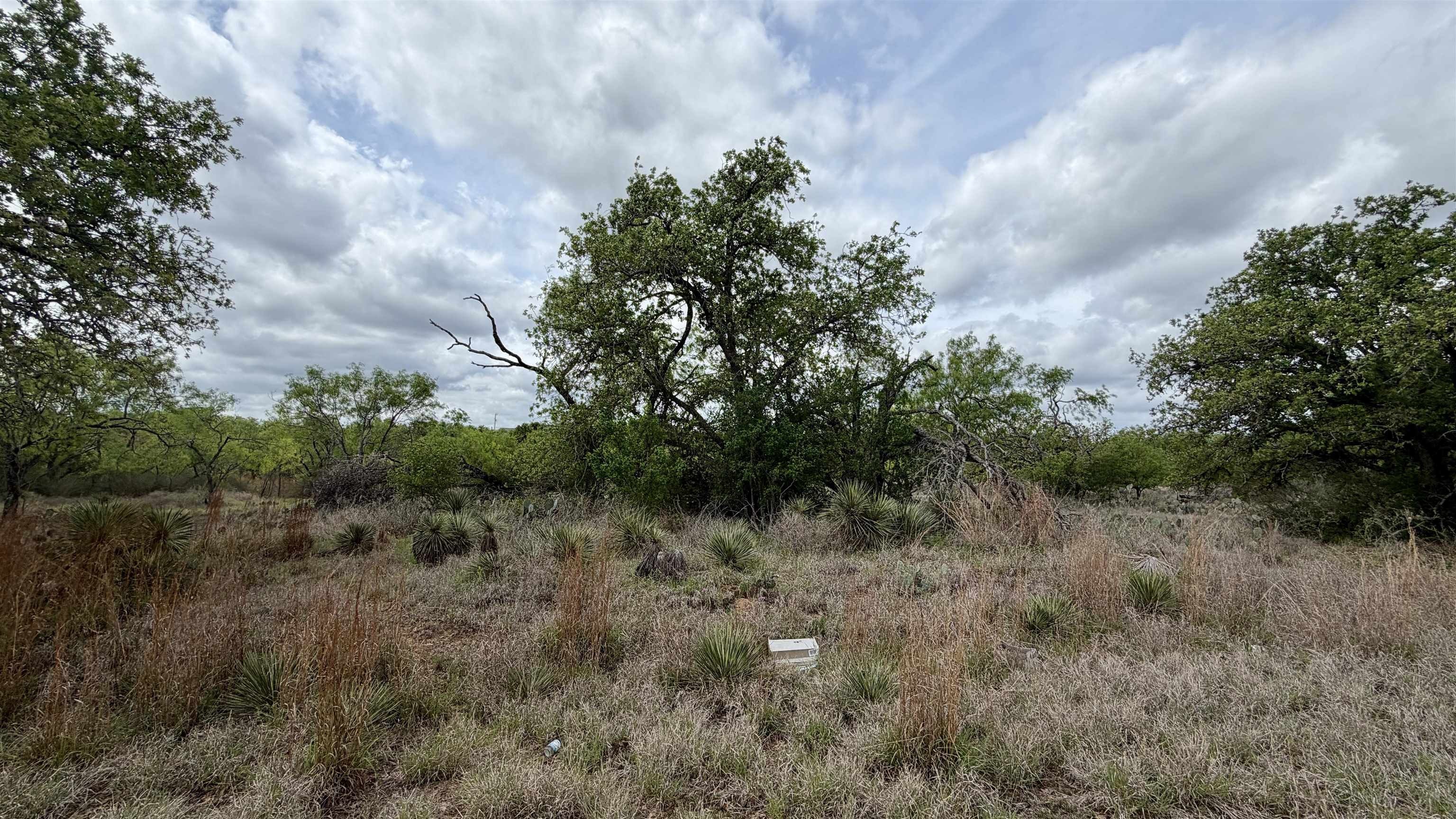 Kingsland, TX Land Opportunity
