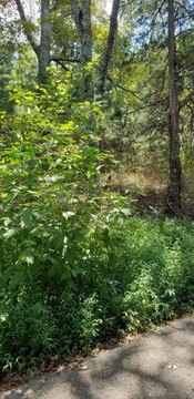 Residential Land in Dunlap, TN