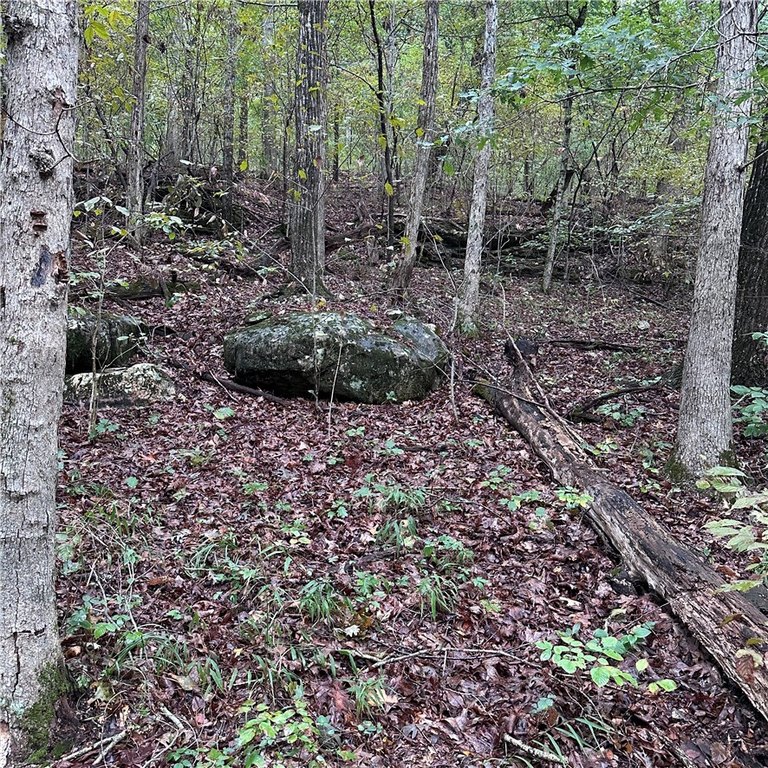 Picture 17