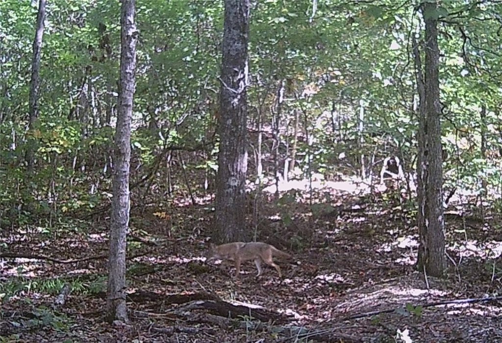 Picture 35