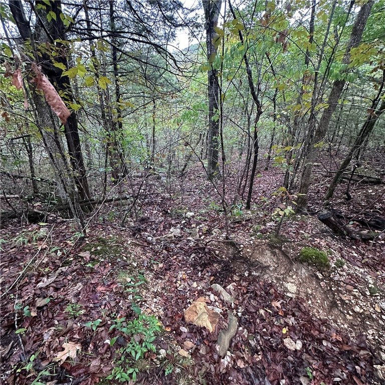 Picture 11