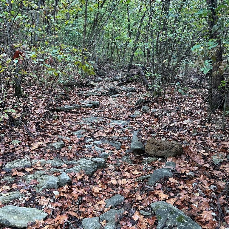 Picture 3