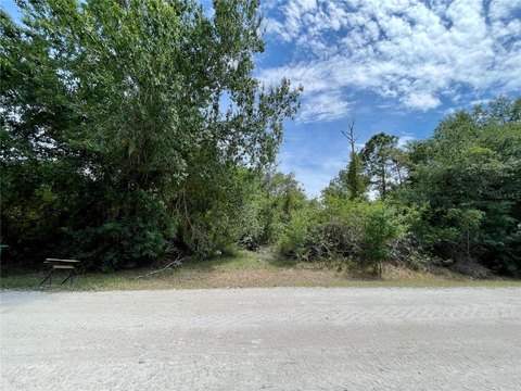 Residential Land in Punta Gorda