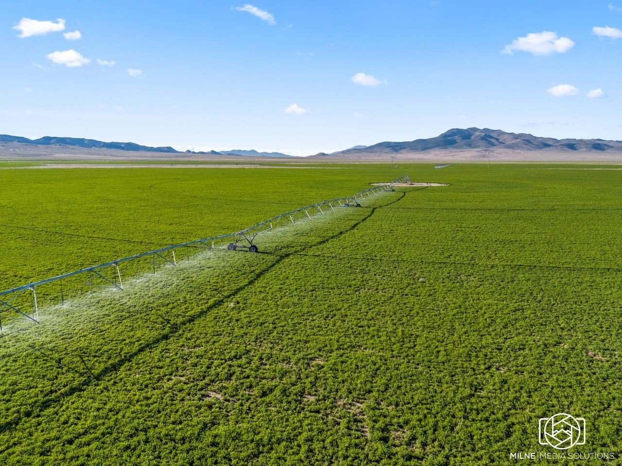 640-Acre Nevada Agricultural Land