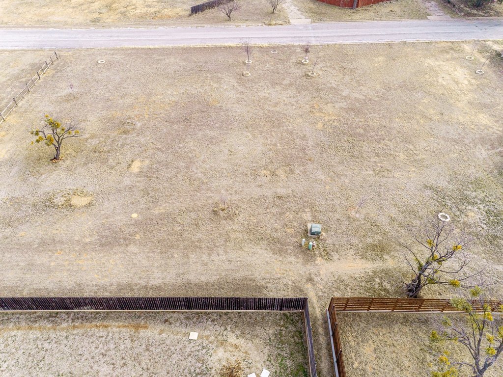 Picture 10