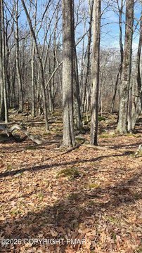 Land, Lackawaxen, PA