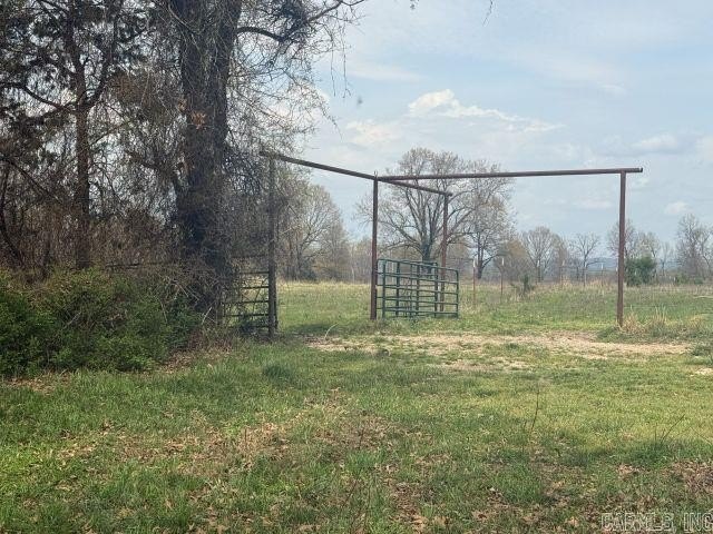 Picture 11