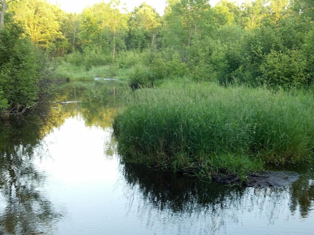 Picture 5